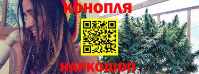 прущие грибы Среднеуральск