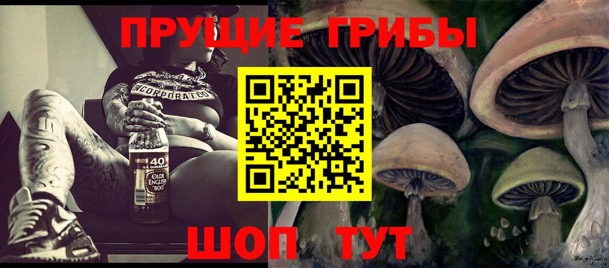 Галлюциногенные грибы Psilocybine cubensis Новороссийск